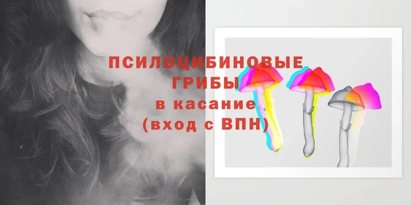 Псилоцибиновые грибы MAGIC MUSHROOMS  как найти закладки  МЕГА как зайти  Горно-Алтайск 